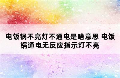 电饭锅不亮灯不通电是啥意思 电饭锅通电无反应指示灯不亮